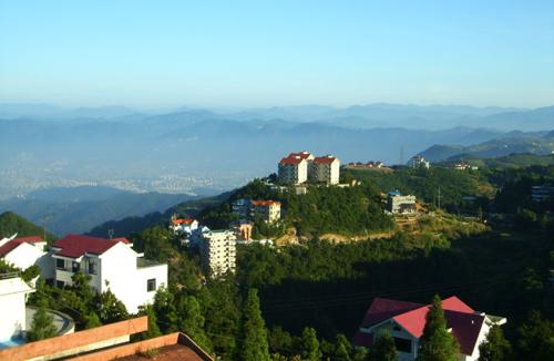 給上海鄧氏園林工程的工廠綠化景點案例留言_產品詢.