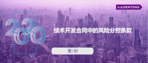 技術(shù)開(kāi)發(fā)合同中的風(fēng)險(xiǎn)分擔(dān)條款